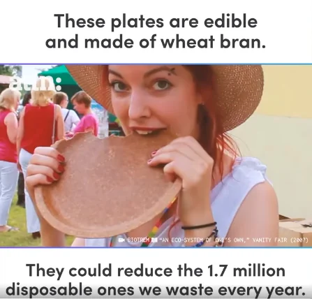 edible plates made of wheat bran are not safe for celiacs 